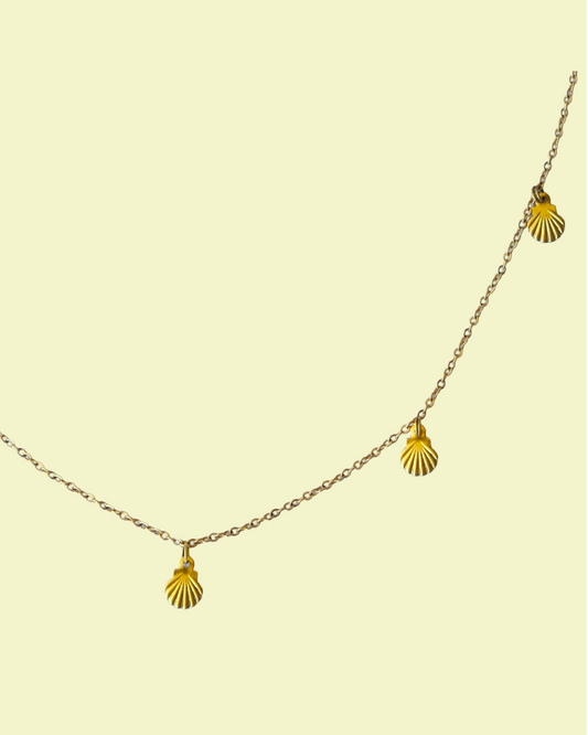 Choker donna conchiglie elegante