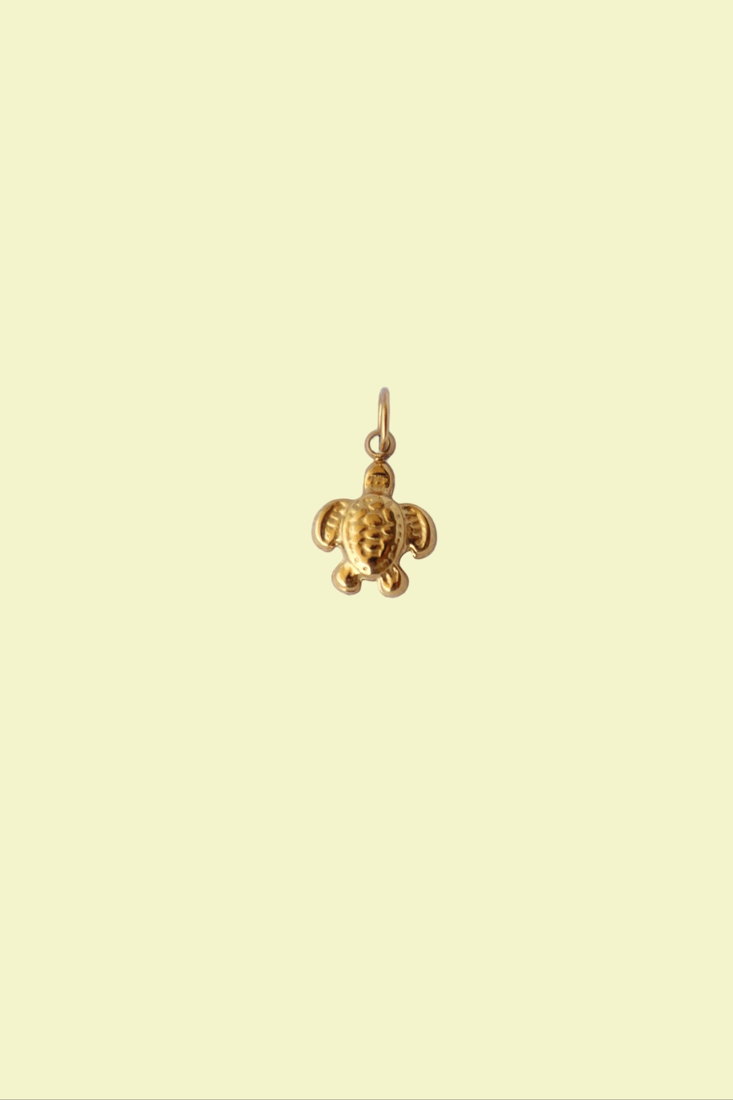 Charm Tartaruga Gioielli Donna Collana Estate