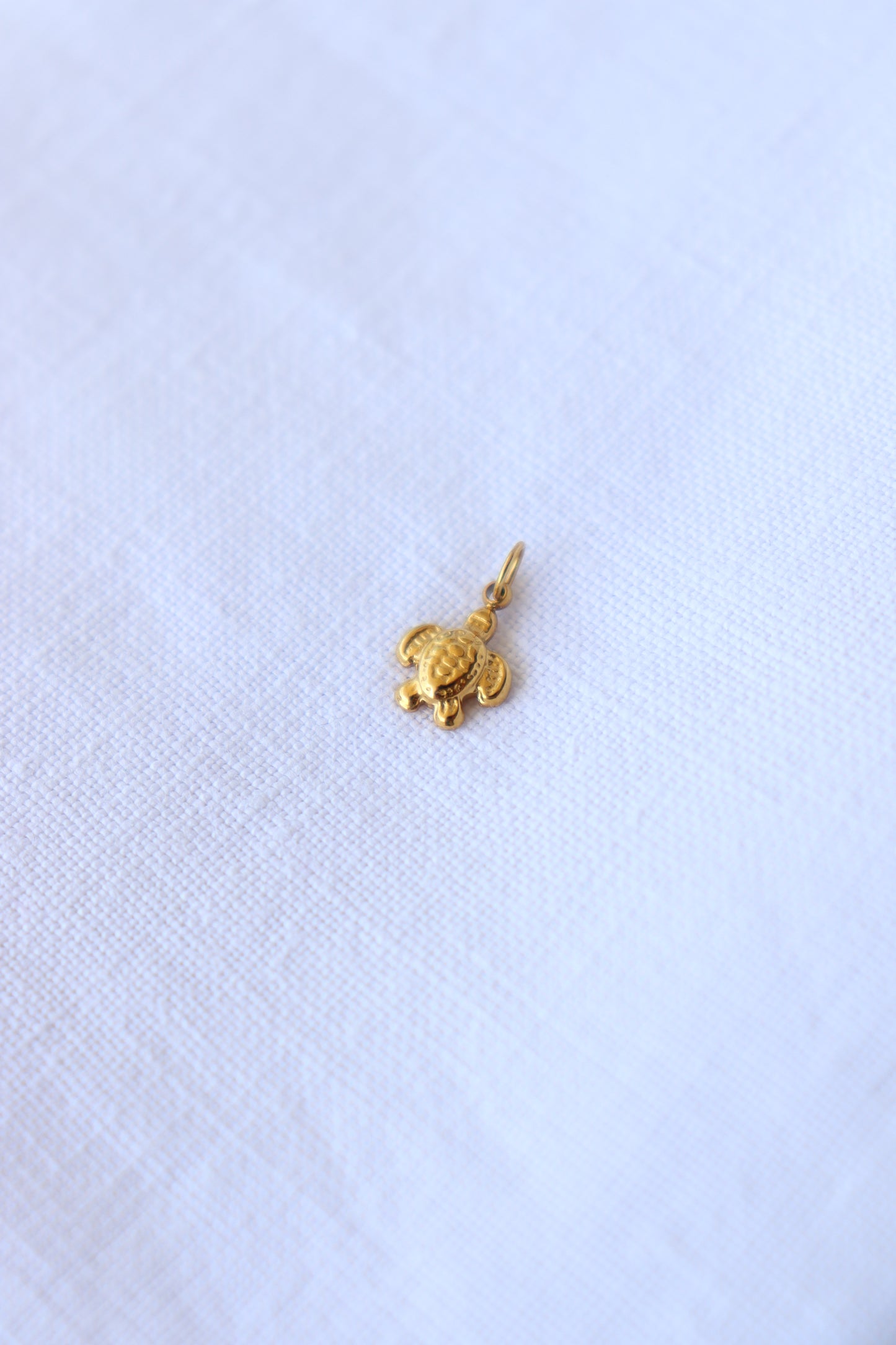 Charm Tartaruga