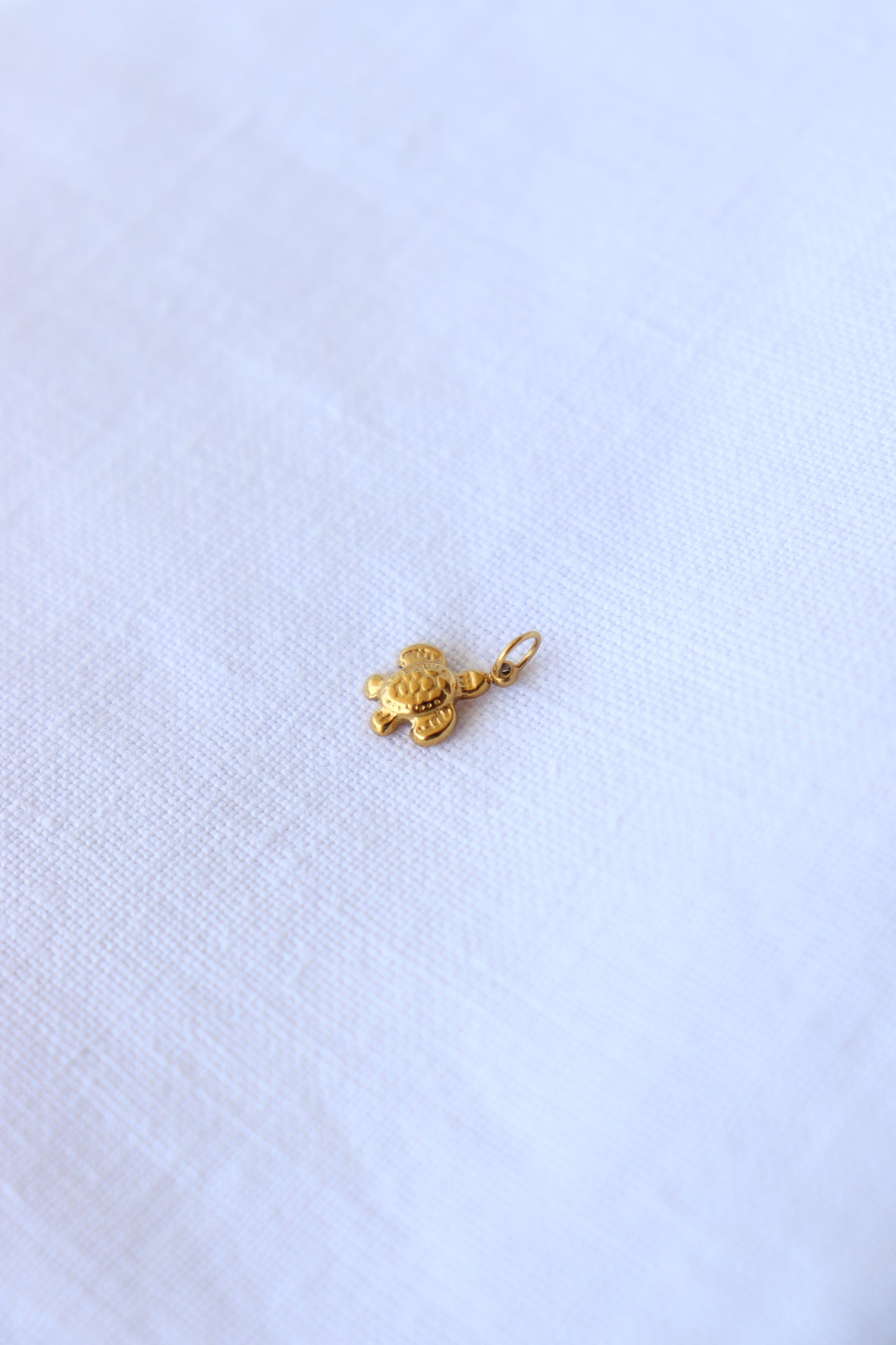 Charm Tartaruga