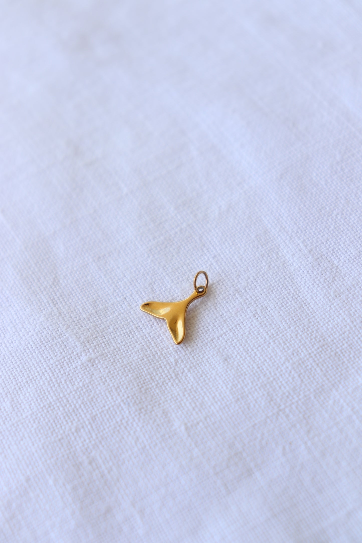 Charm Coda di Delfino