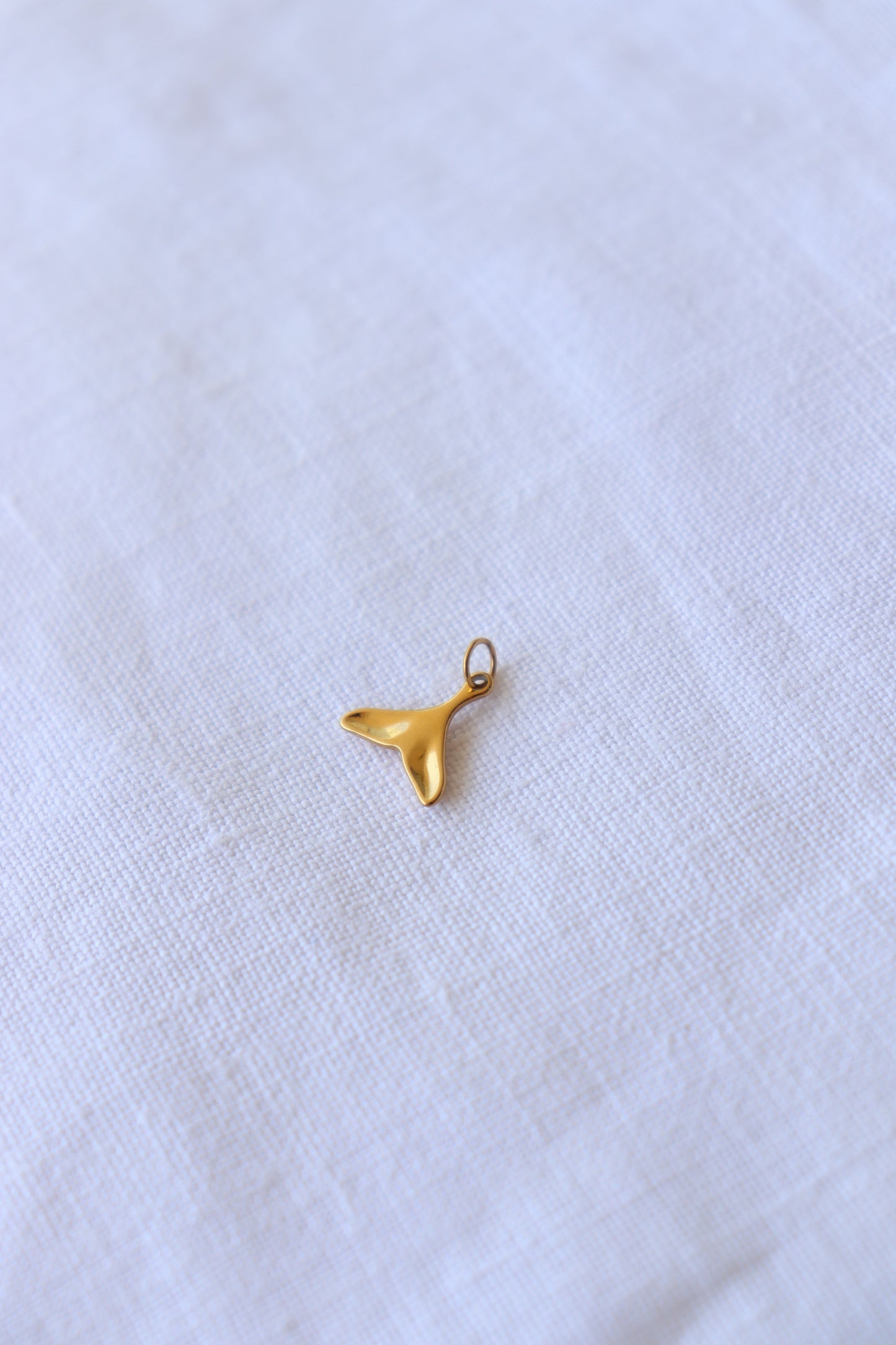 Charm Coda di Delfino